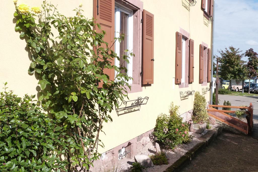 Le P'Tit Coin De Chez Nous Villa ดอมแบค-ลา-วิลล์ ภายนอก รูปภาพ